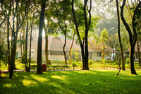 Morning Walks at Ayurvedagram Heritage Wellness Center, Bengaluru, Karnataka, India